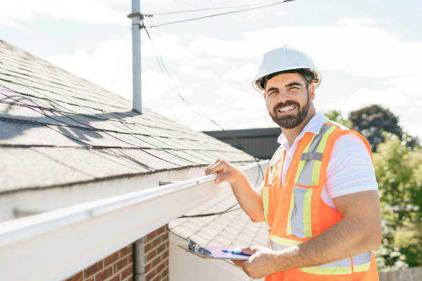 Steel Roofing in Fish Hawk, FL